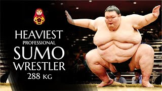 Heaviest Sumo Wrestler in the World  Orora Satoshi  First Russian professional Sumo [upl. by Yamauchi245]