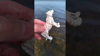 White Lion Toy Getting Washed at River shorts animalsforkids [upl. by Duma]