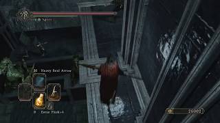 Dark Souls 2  Drangleic Castle Forgotten Chamber 2ND BONFIRE [upl. by Einhoj793]