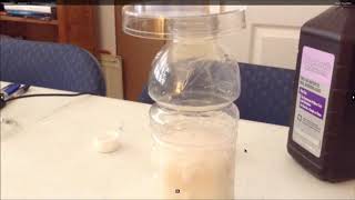 Decomposition of H2O2 using yeast as a catalyst [upl. by Catima513]