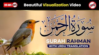 Surah Rahman With Urdu Translation Full  Episode 041  Quran Tilawat Tarjuma [upl. by Odnalor]