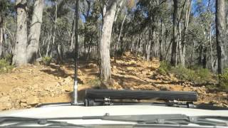 Walking track eastred toolangi in 2 tritons [upl. by Bush]