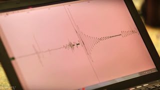 How Does a Seismometer Work [upl. by Oryaj]