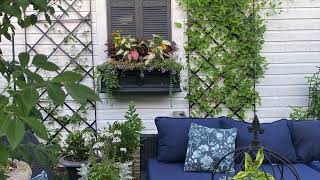 Sun to Shade colorful Window box garden shorts garden gardening summer flowers selfwatering [upl. by Averat]