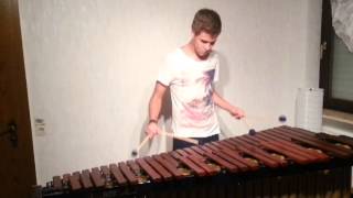 Linkin Park  Castle of Glass Marimba Cover [upl. by Kristo902]