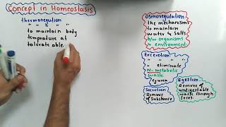 Introduction Of Homeostasis Class 12 Biology [upl. by Elleyoj]