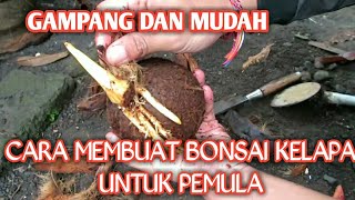 BEGINI CARA MEMBUAT BONSAI KELAPA DARI AWAL UNTUK PEMULA [upl. by Yoshiko]