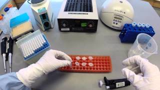 DNA Extraction Protocol  Part 1 [upl. by Iahcedrom]