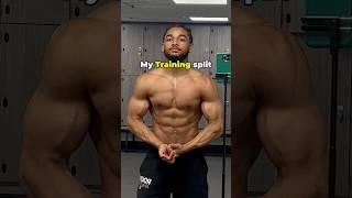 Full Training Split  All Plans In Bio workoutroutine fitness gym gymtok [upl. by Felike310]