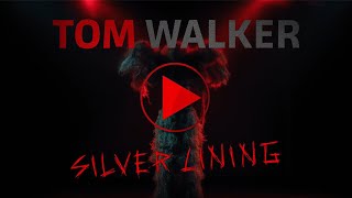 Tom Walker Sebastian Fitzek  Silver Lining Official Lyric Video [upl. by Sharman491]