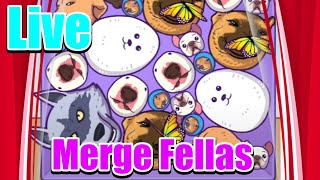 Merge Fellas Live Gameplay Stream 09🔴 mergefellas short ytshorts [upl. by Baron]