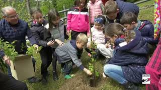 Onore i bambini piantano alberi insieme agli alpini [upl. by Simpkins498]