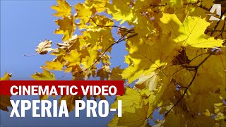 Sony Xperia ProI Cinematic Video 4K 120fps [upl. by Bord333]