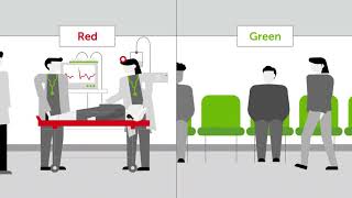 How to organize an emergency care system The essential components [upl. by Ainnos776]