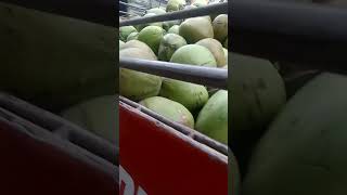 Kalaàg order Ng buko sa truck [upl. by Skyla]