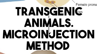 Transgenic animals DNA micro injection method [upl. by Tipton]