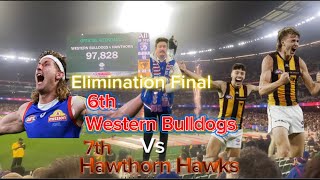 Western Bulldogs vs Hawthorn Hawks 2nd Elimination Final HOKBall is scaryGame day Vlog [upl. by Naik539]