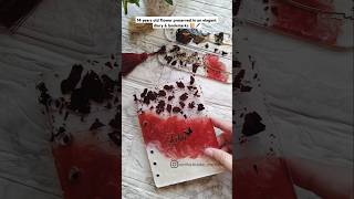 Rose preserved in resin diary 🌹✨ resincrafts resindiary resintutorial resinartwork resinartist [upl. by Tavis]