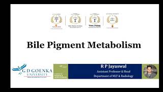 Bile Pigments Metabolism [upl. by Akehs589]