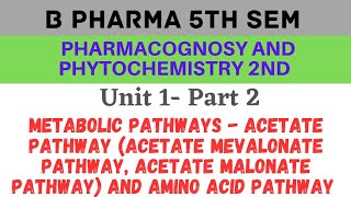 Acetate pathway in pharmacognosy  Amino acid pathway  Pharmacognosy and phytochemistry 5th sem [upl. by Hank223]