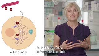 Fondamentalement appliqué  du labo aux patients avec Caroline Demangel [upl. by Ivel605]