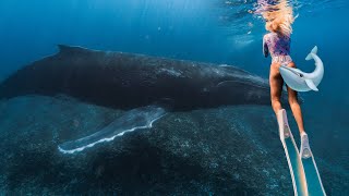 WE SWAM WITH 3 HUMPBACK WHALES also 3 girls in a hottub TAHITI DAY 2 [upl. by Idram975]