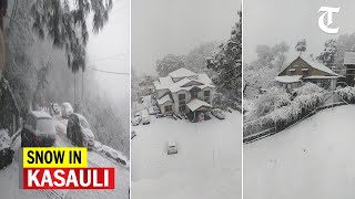 Kasauli Dagshai get season’s first snow [upl. by Pronty142]