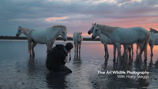 Nikon x National Gallery Shooting Fine Art in the Camargue with photographer Harry Skeggs [upl. by Kyred]