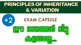 Principles of inheritance  2  Exam capsule  Malayalam Audio [upl. by Acissj]