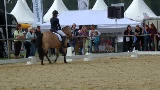 EDressur e52 Equitana Open Air [upl. by Atikan623]