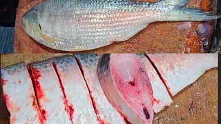 Hilsa original hilsa cutting Bangalore hoodi sagar fish belathur Kadugodi fish Sagar fish [upl. by Scrivings575]