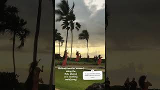 Wahine hawaiian 🌺 women dancing Hula on a soothing Mele song hawaii hula Hana [upl. by Sallee]