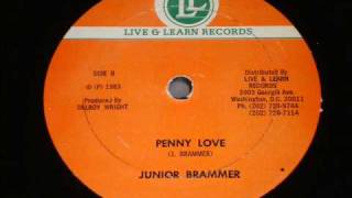 Junior DJ Trinity Brammer Penny Lover with Version  1983 Live amp Learn 12 Inch  DJ APR [upl. by Nellek]