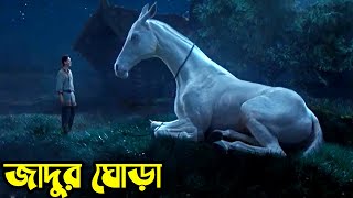 Upon the Magic Roads 2021 পুরো সিনেমা বাংলায়  Movie Explained in Bangla [upl. by Eylhsa416]