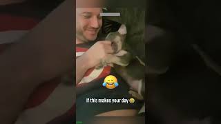 🐱 Funny cat videos  cute cats  Try not to laugh  Cat videos Compilation shorts 🐈 Episode 8309 [upl. by Carmel5]