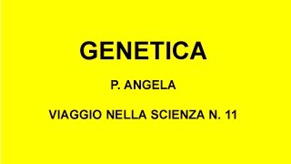 GENETICA Viaggio nella scienza Angela n 11 [upl. by Filemon]