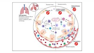 Covid19 drugs in clinical trials mechanism simplified [upl. by Fogg683]