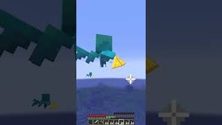 Villager Protection Fence Luck 8989 Moment memes minecraft shorts [upl. by Nannek]