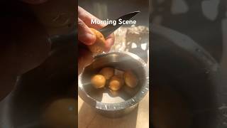 My morning kitchen scene cooking ytshorts ritikayashkumar [upl. by Blakeley53]