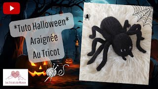 Tuto Halloween Araignée au Tricot [upl. by Will]