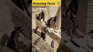 Amazing facts about Egypt 😨shortsfeed egypt shorts vairalshort [upl. by Lemaj]