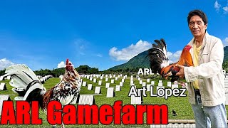 Lets Visit The Farm Of ARL Gamefarm [upl. by Katharina]