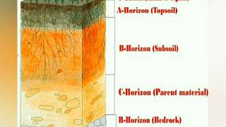 EDAPHIC FACTORS AND SOIL [upl. by Gretal]