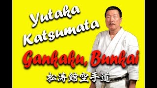 Yutaka Katsumata Gankaku Bunkai [upl. by Hosea]