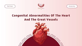 Congenital Abnormalities Of The Heart And The Great Vessels  Anatomy [upl. by Sosthena]