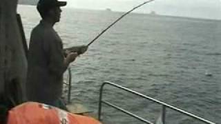 Deep sea fishing Sneem Ireland co kerry ireland [upl. by Paulsen]