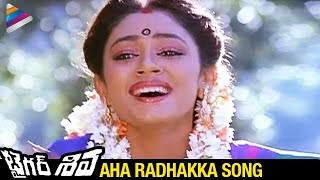 Tiger Shiva Movie Songs  Aha Radhakka Song  Rajnikanth  Shobana  Ilayaraja [upl. by Keely145]