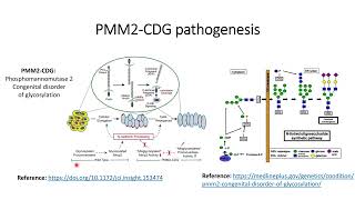 Congenital disorder of glycosylation CDG PMM2 pathogenesis Code 187 [upl. by Ojeillib]