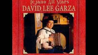 David Lee Garza amp Los Musicales  Alma Negra [upl. by Htepsle]