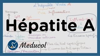 Hépatite A symptômes sérologie de lhépatite A vaccin et traitement [upl. by Bentley]